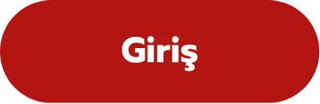 Giriş
